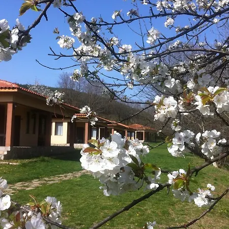 Village de vacances Perperеshka River 2*