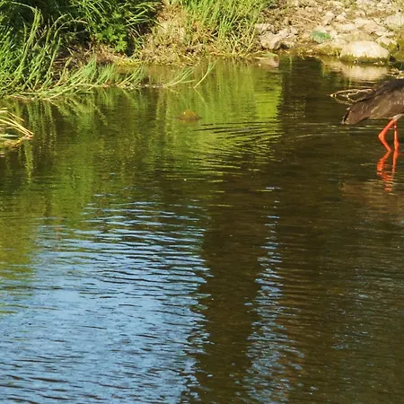 Perperеshka River Stremtsi