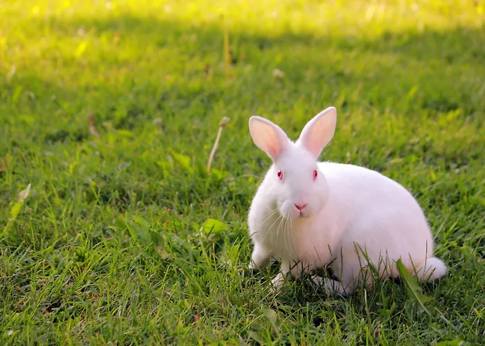 Holiday park Perperеshka River 2*