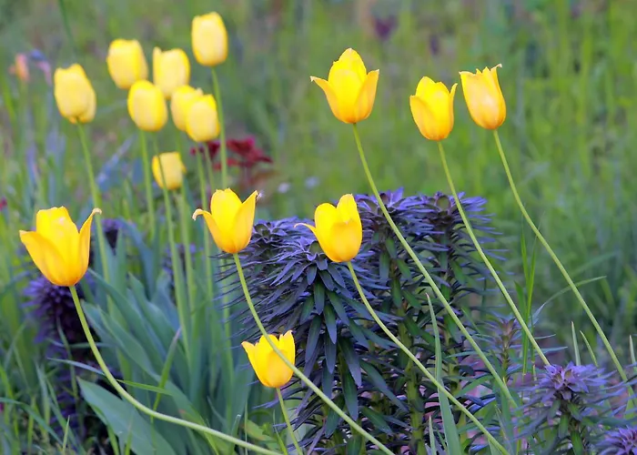 Kompleks wypoczynkowy Perperеshka River